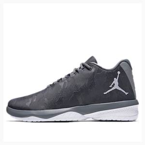 Air Jordan Nike B.Fly X Zapatillas Baloncesto Hombre Gris | JD-784ZB