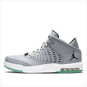 Air Jordan Nike Flight Origin 4 Zapatillas Baloncesto Hombre Gris Verde | JD-079LS