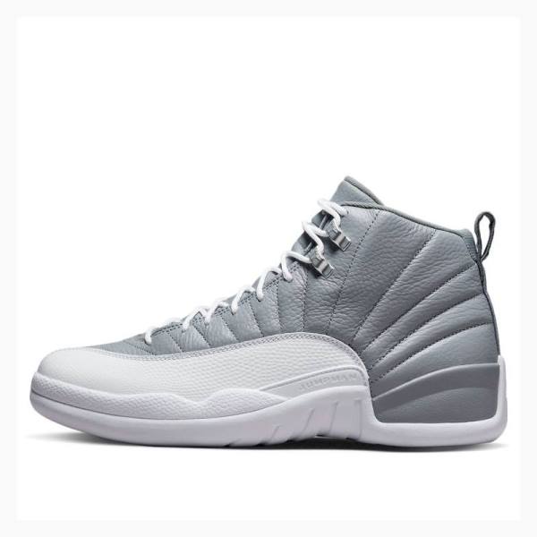 Air Jordan 12 Nike Retro Stealth Zapatillas Baloncesto Hombre Gris | JD-025SN