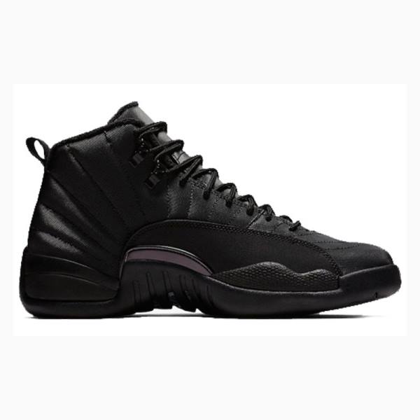 Air Jordan 12 Nike Retro WNTR Winterized - Anthracite Zapatillas Baloncesto Hombre Negras | JD-145PW