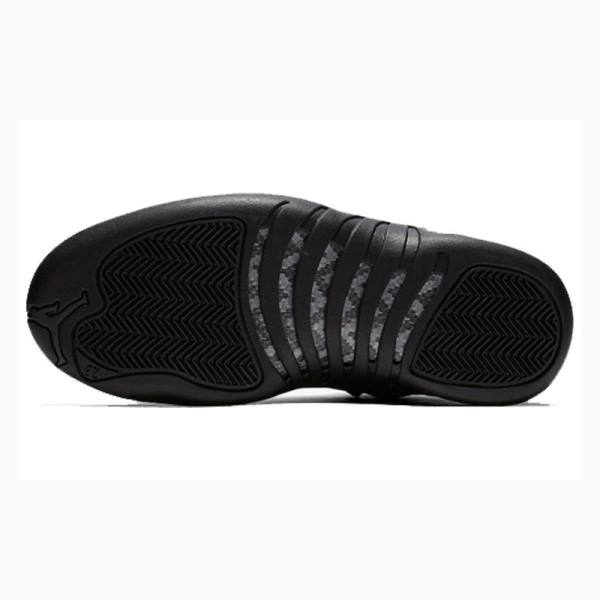 Air Jordan 12 Nike Retro WNTR Winterized - Anthracite Zapatillas Baloncesto Hombre Negras | JD-145PW