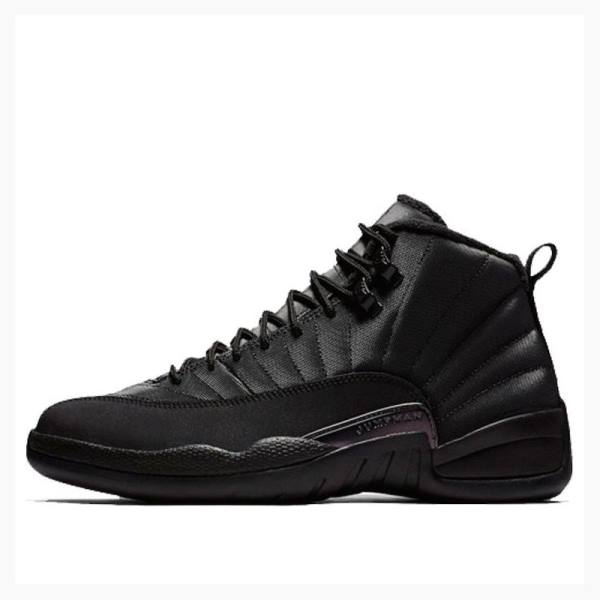 Air Jordan 12 Nike Retro WNTR Winterized - Anthracite Zapatillas Baloncesto Hombre Negras | JD-145PW