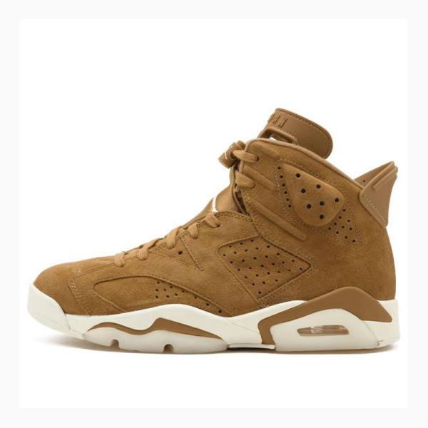 Air Jordan 6 Nike Retro Wheat Zapatillas Baloncesto Hombre Marrones | JD-027NC